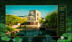 上海网页制作与设计 探索黑蚁互动的专业网站建设服务